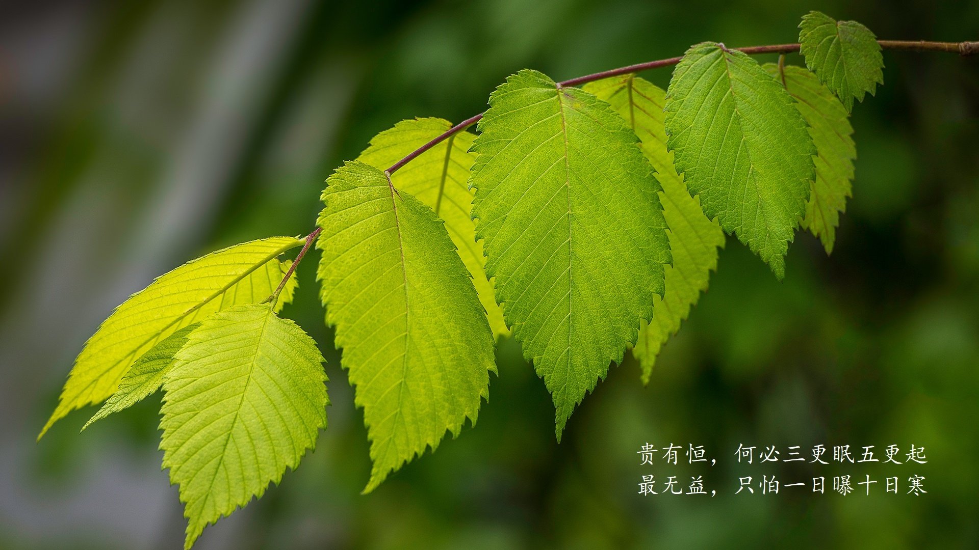 【比赛分析】丁俊晖：攻防转换秒秒钟的战术智慧，丁俊晖最精彩的逆转