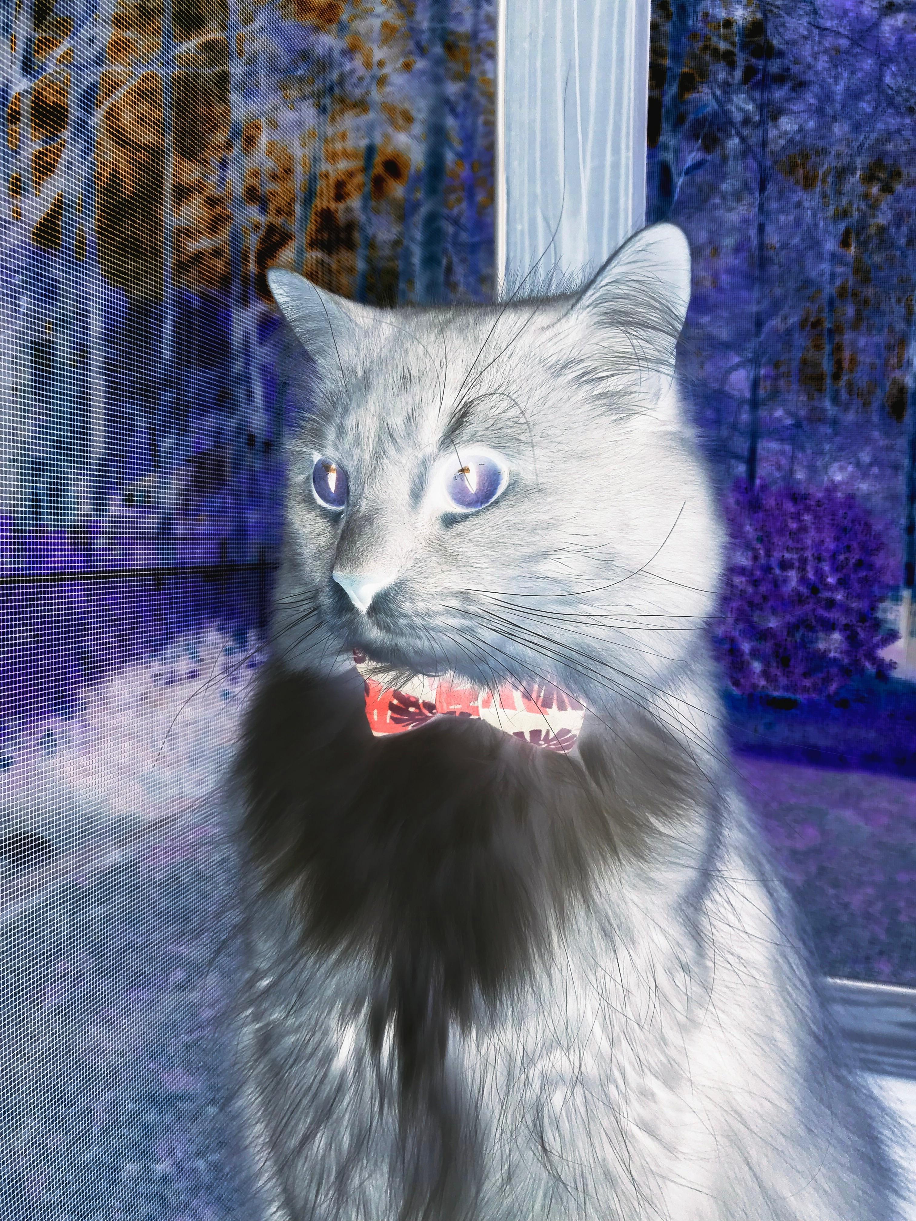 足球比赛场地智能检测系统实现全覆盖,保障场馆安全,足球场信息