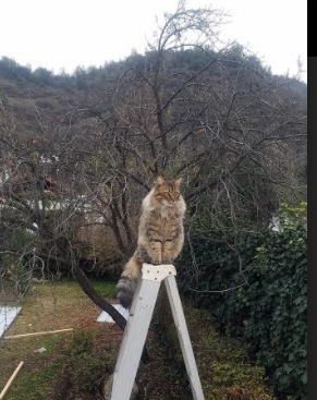 雄鹿退役拉里·桑德斯球衣,表彰防守贡献,里德 雄鹿