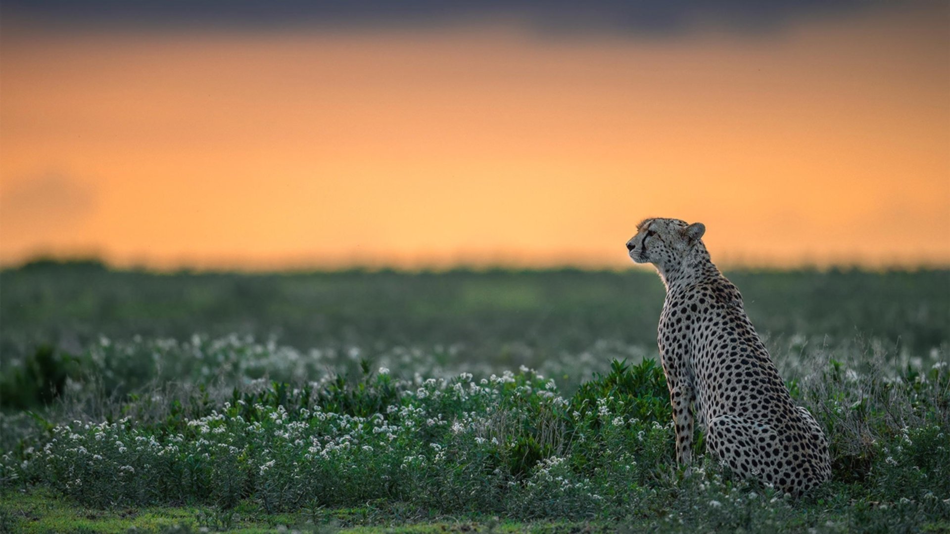 乐鱼vip-《快船球迷期待球队在休赛期进行积极操作》，快船球队成员