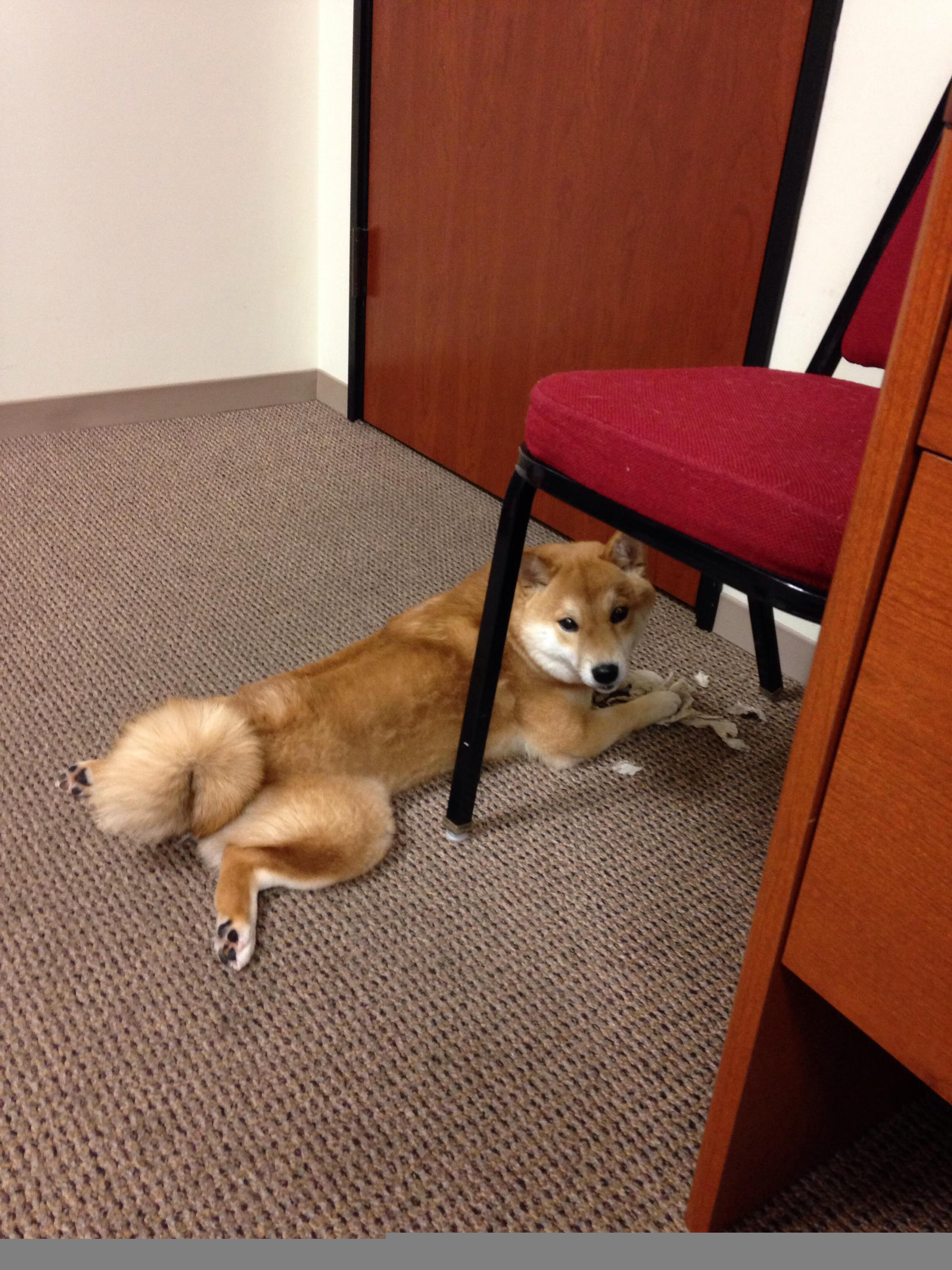 乐鱼娱乐app-哥伦比亚队后卫佩雷斯在巴黎奥运会上表现出色，2021哥伦比亚球员