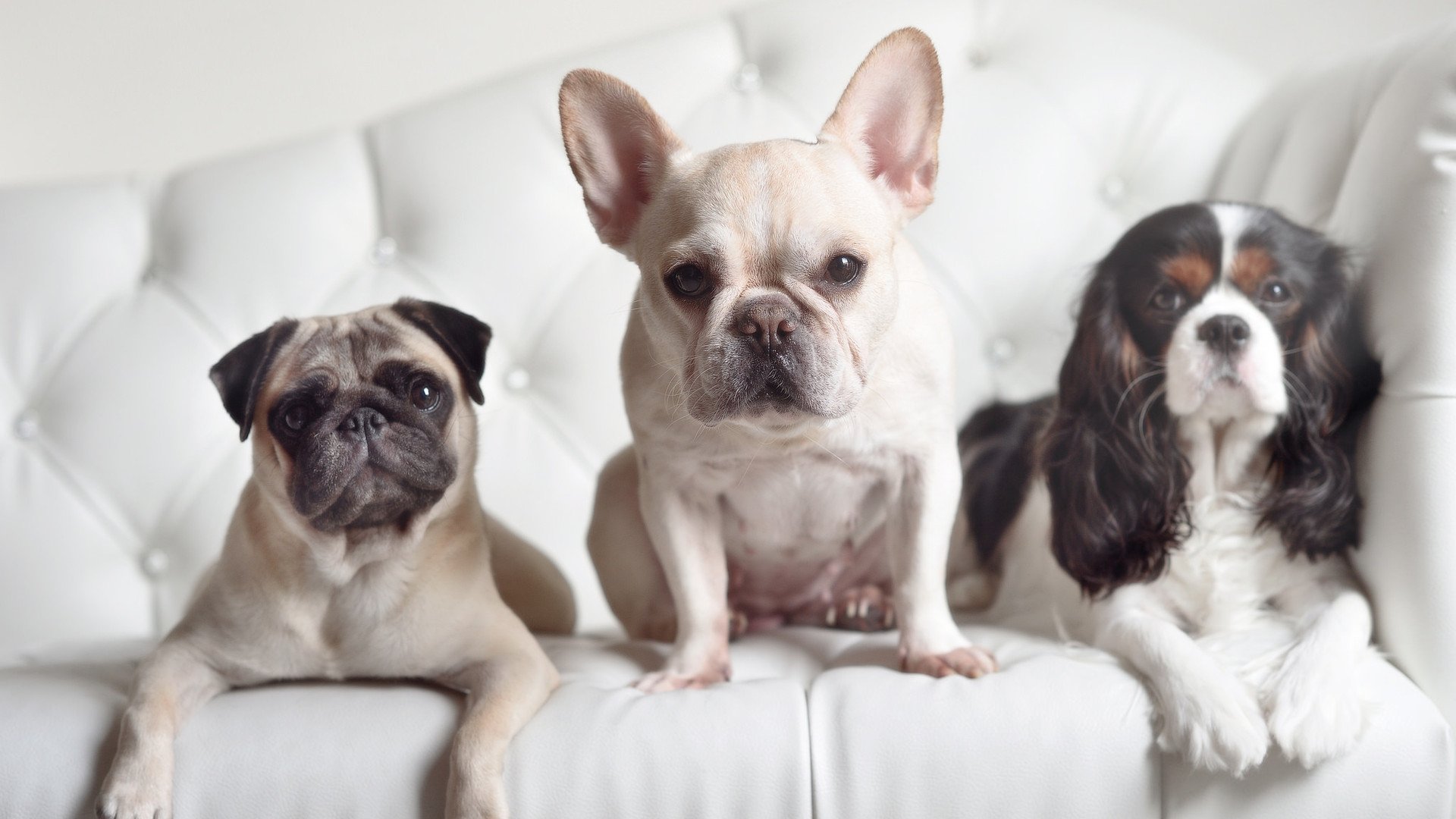 LeyuSports-墨西哥队成功晋级中北美金杯决赛，墨西哥美金杯阵容2021