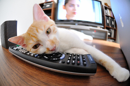 乐鱼体育平台官网-尤尼克斯努力追赶，争夺季后赛更好名次，尤尼克斯球赛