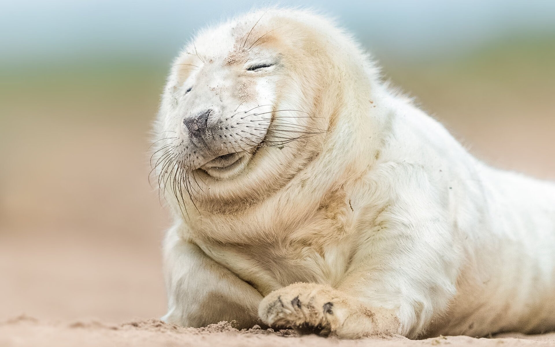 布鲁诺·卡博克洛在NBA夏季联赛中展现进攻多样性,布鲁卡洛斯