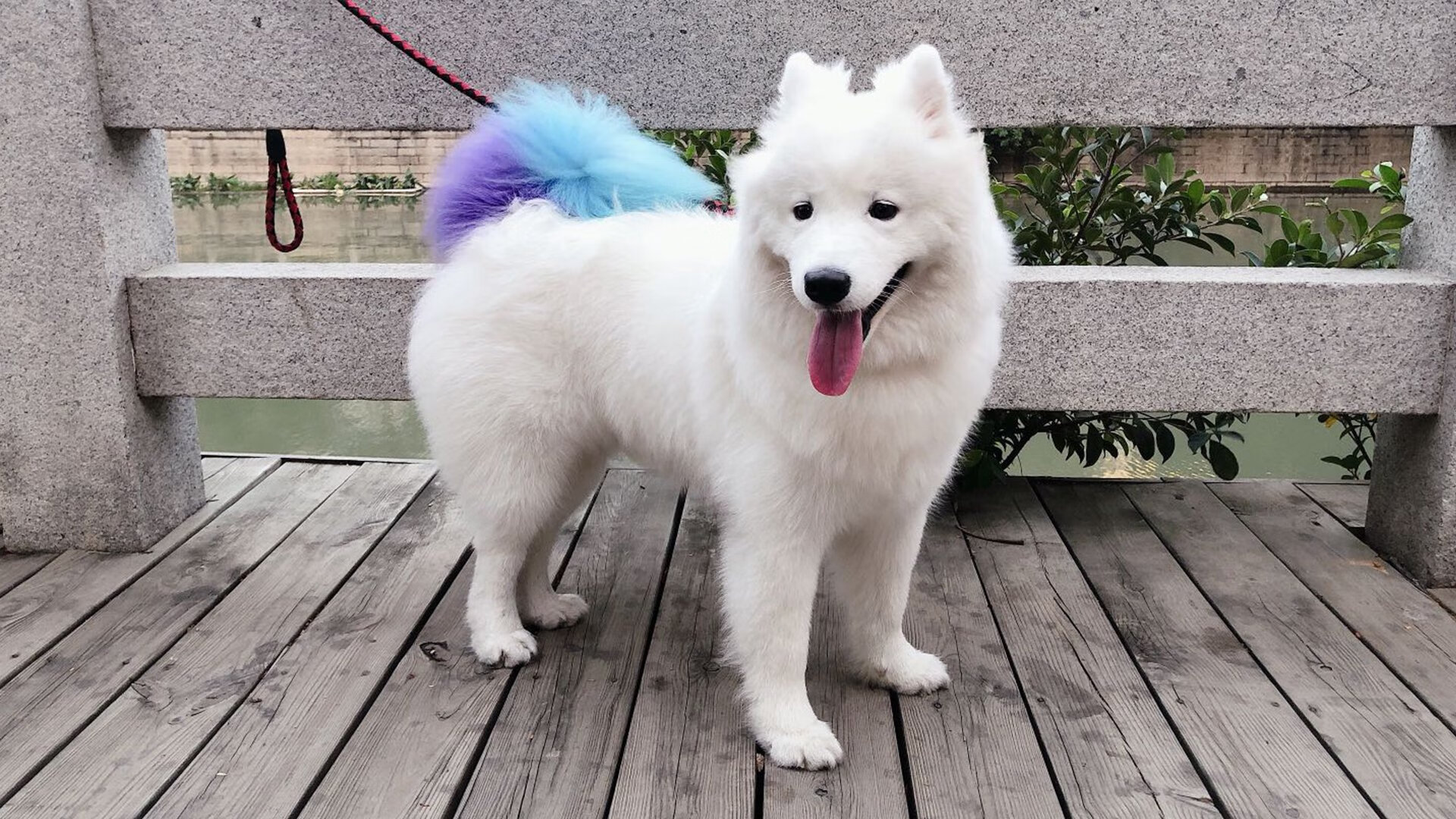 乐鱼体育(中国)官方网站-桑德兰客战纽卡，北东部德比激烈火拼，桑德兰 纽卡斯尔