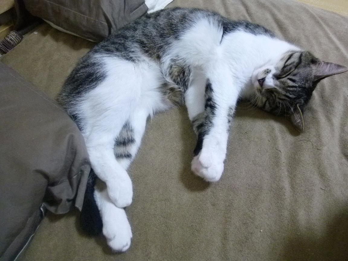 高压打法是否让球员职业生涯缩短，高压球是对付对方什么时运用的战术