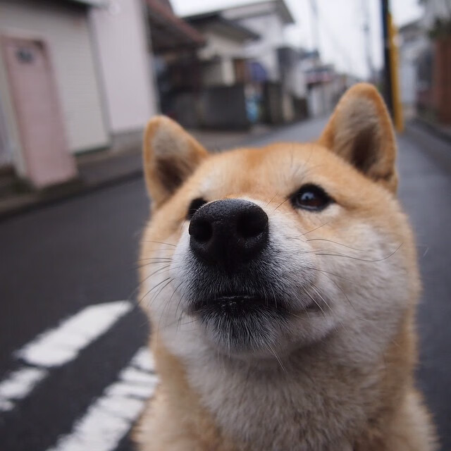 奥预赛中国女足逆袭 球员状态明显回升,中国女足奥预赛出线