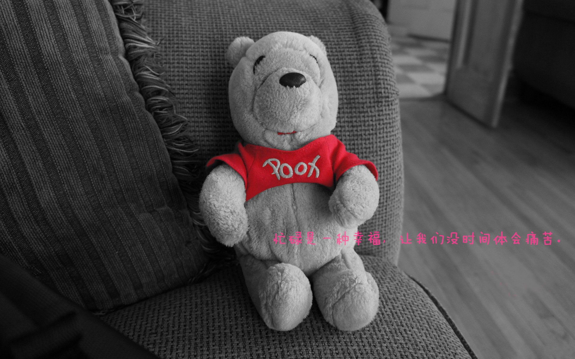 澳大利亚队的未来:借助先进设备提升竞技表现,澳大利亚队战绩