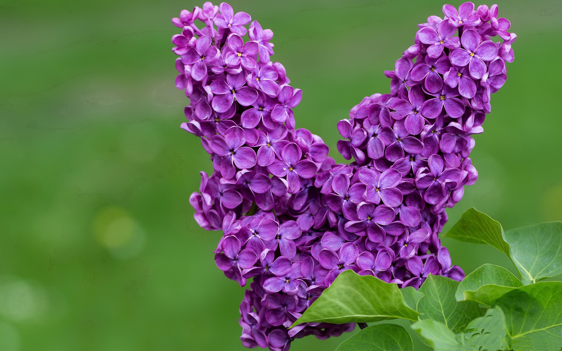 乐鱼app-希腊女篮在欧洲锦标赛中奋勇向前，荣誉在握，希腊u20女篮