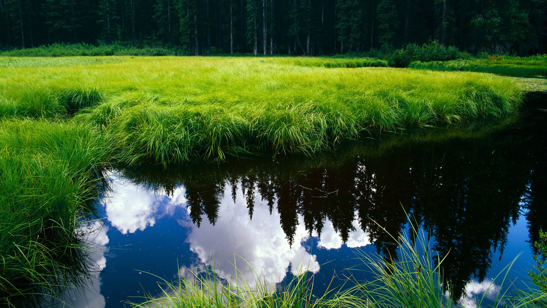 leyu乐鱼体育综合-李娜出席青少年国际邀请赛颁奖典礼，李娜出席青少年国际邀请赛颁奖典礼视频