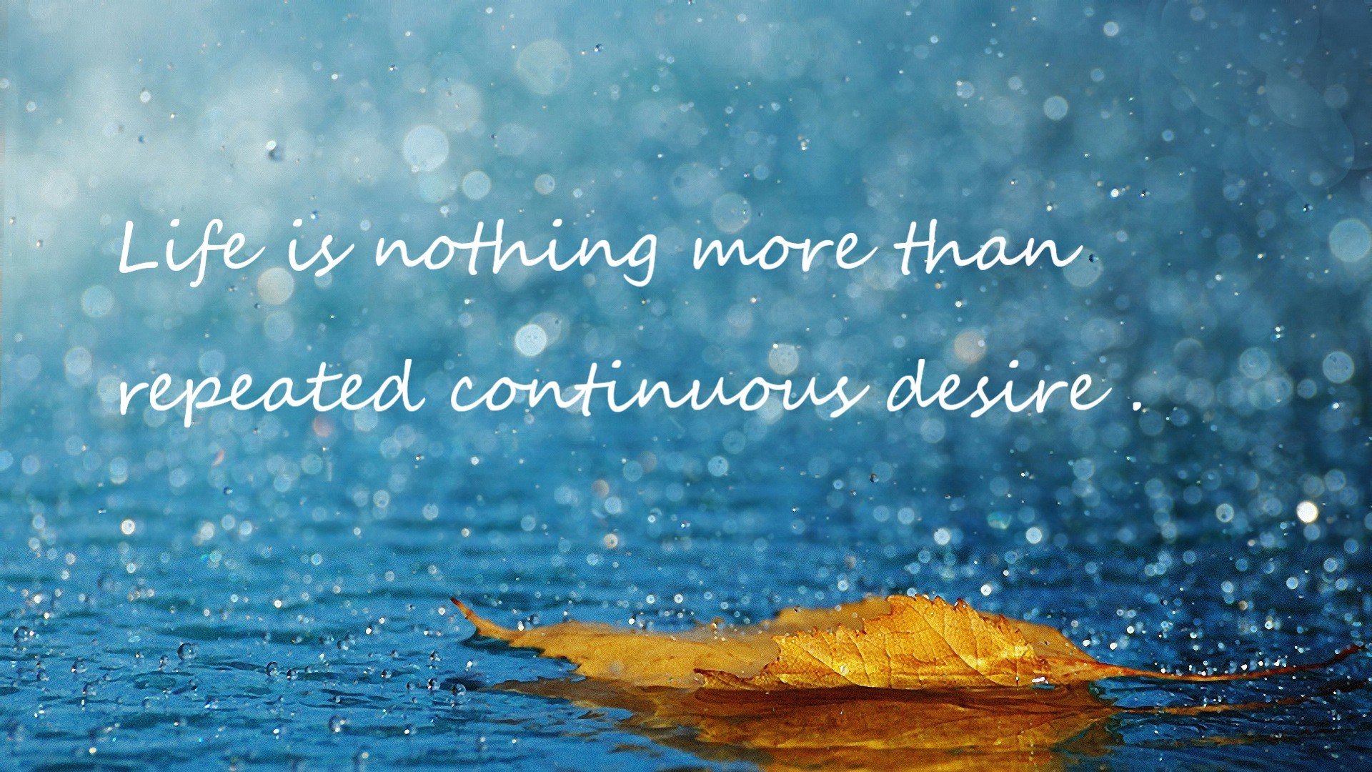 米兰双雄状态火热,向意甲冠军发起冲击