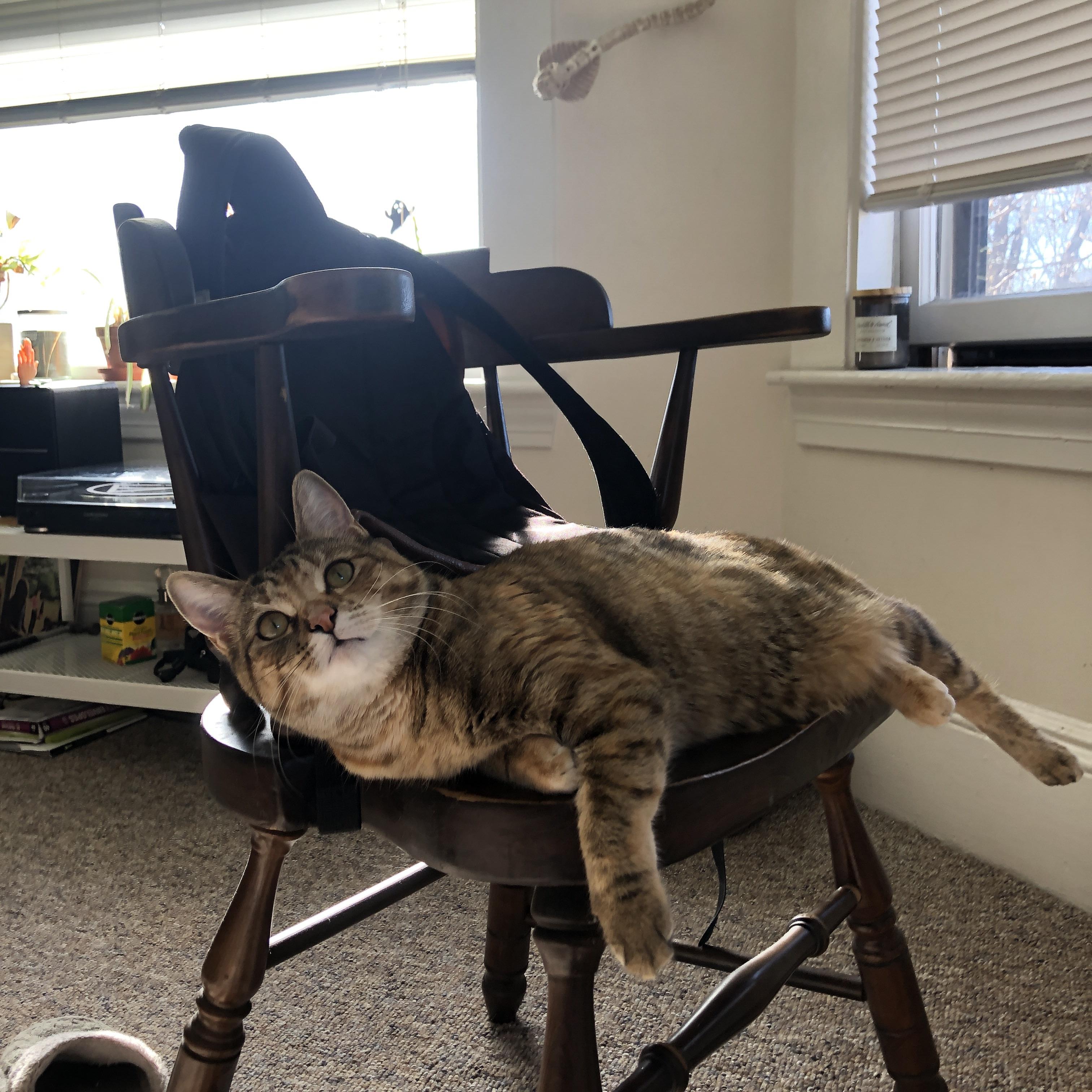 苏丹男篮在非洲锦标赛中持续攀升,体育水平不断提升,苏丹是非洲国家吗